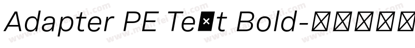 Adapter PE Text Bold字体转换